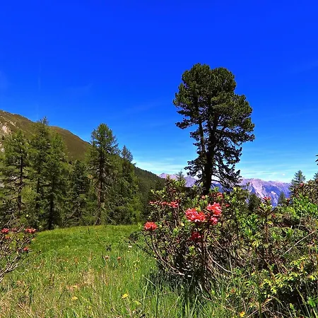 Haus Alpenblick * Ladis