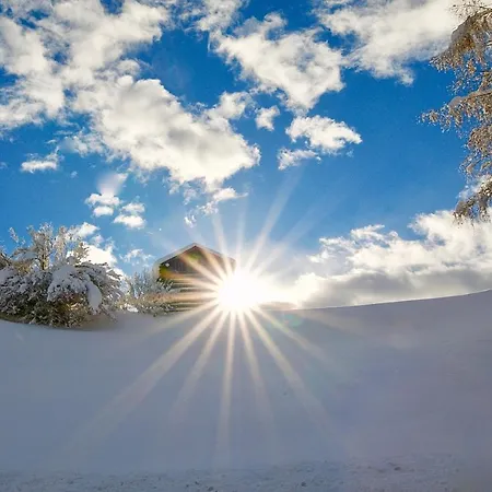 Apartment Haus Alpenblick