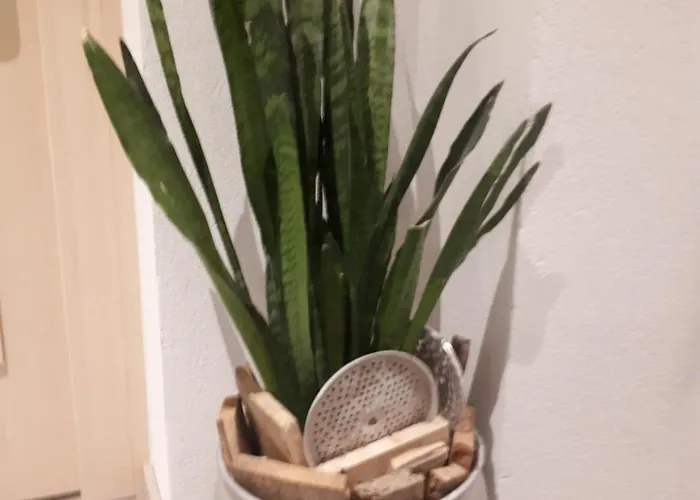 Apartment Haus Alpenblick