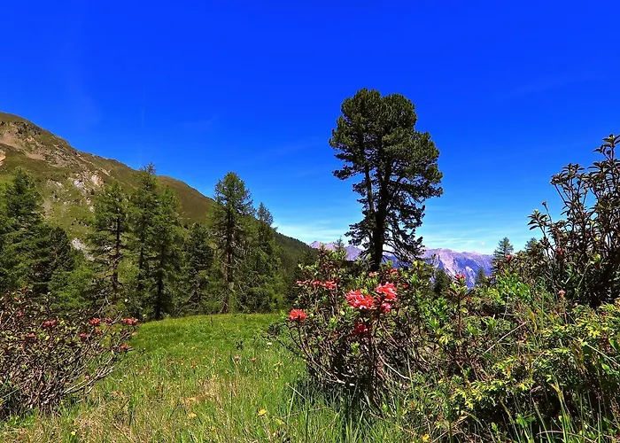 Haus Alpenblick * Ladis